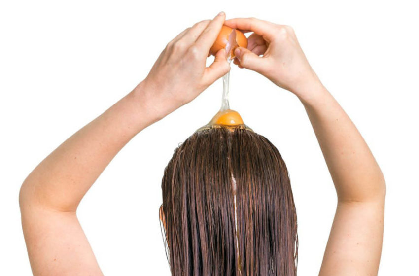  Mengulas Sederet Manfaat Telur bagi Rambut