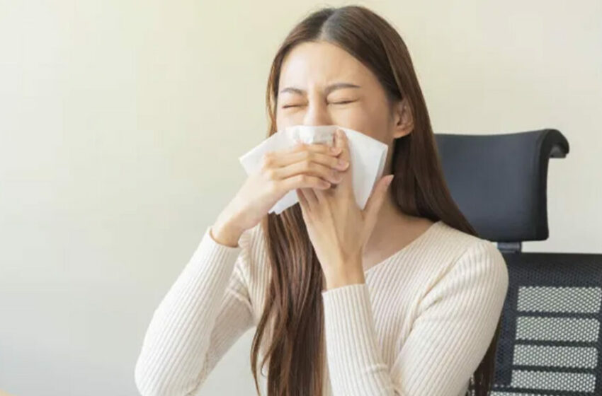  Simak Cara Mengatasi Alergi Dingin dan Debu