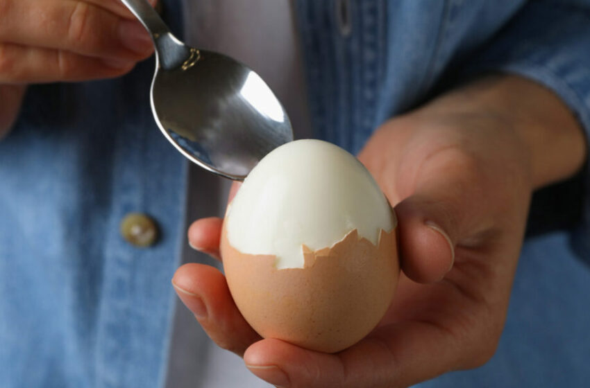  Simak Manfaat Telur Rebus untuk Kesehatan