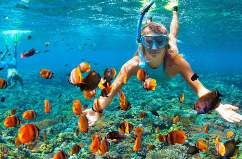  Simak Tips Snorkeling untuk Para Pemula