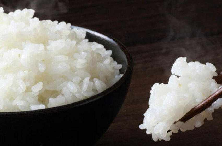  Pilihan Makanan Pengganti Nasi untuk Kesehatan yang Lebih Baik