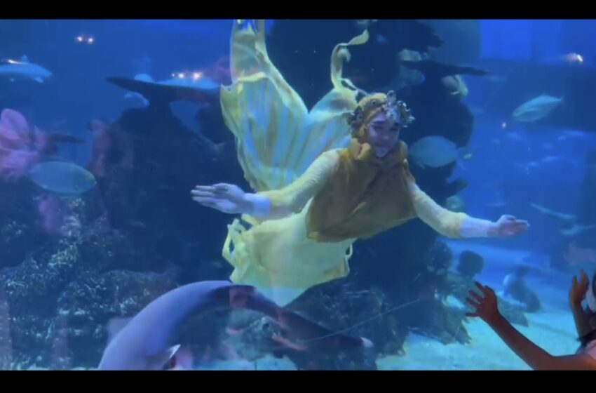  Ria Ricis Menyelam di Aquarium Bareng Ikan Hiu Sambil Kenakan Kostum Mermaid