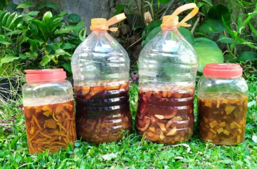  Manfaatkan Sampah Organik untuk Eco-Enzyme