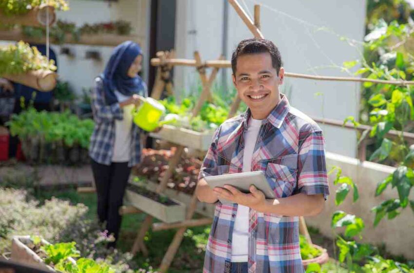  Ingin Makan Sayuran Sehat? Yuk Tanam Sendiri di Rumah