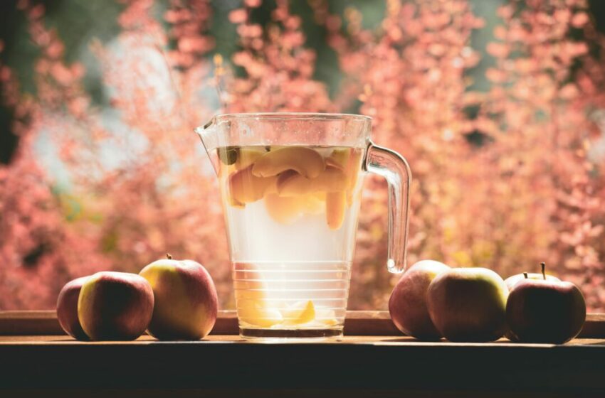  Menyegarkan Tubuh dengan Infused Water, Manfaat dan Resep yang Mudah Dibuat