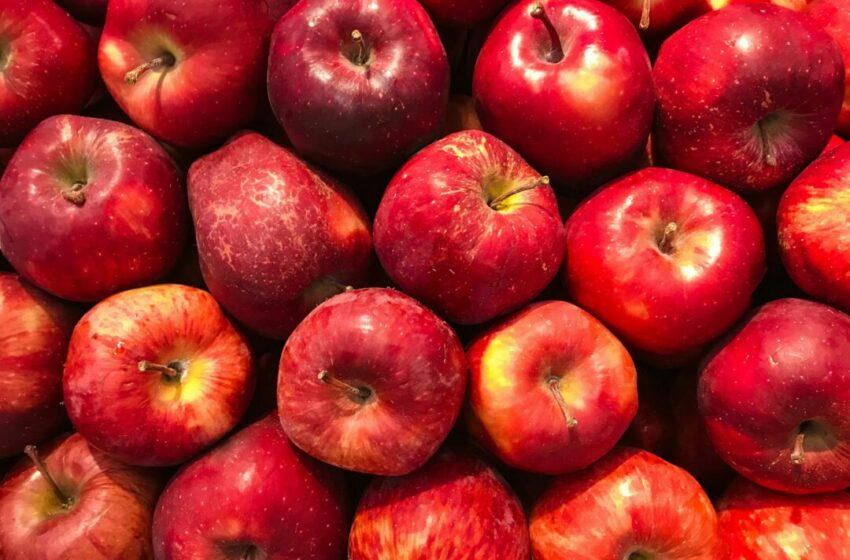  Memahami Manfaat Kesehatan dari Buah Apel, Kandungan Nutrisi dan Keuntungannya
