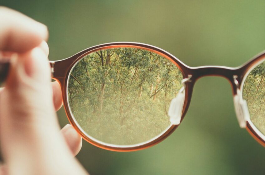  Mengapa Kamu Membutuhkan Lap Khusus untuk Lensa Kacamata?