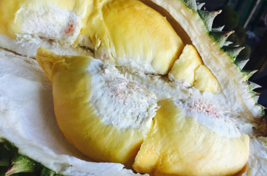  Suka Makan Durian? Ini Tips Menghilangkan Bau Mulut setelah Makan Durian