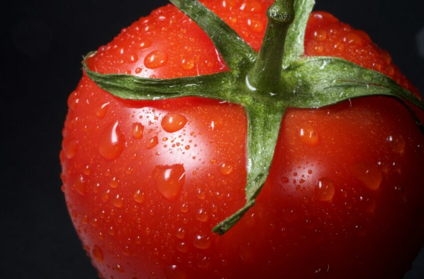  Cara Membuat Masker Wajah Alami dari Buah Tomat untuk Kulit Sehat dan Bersinar