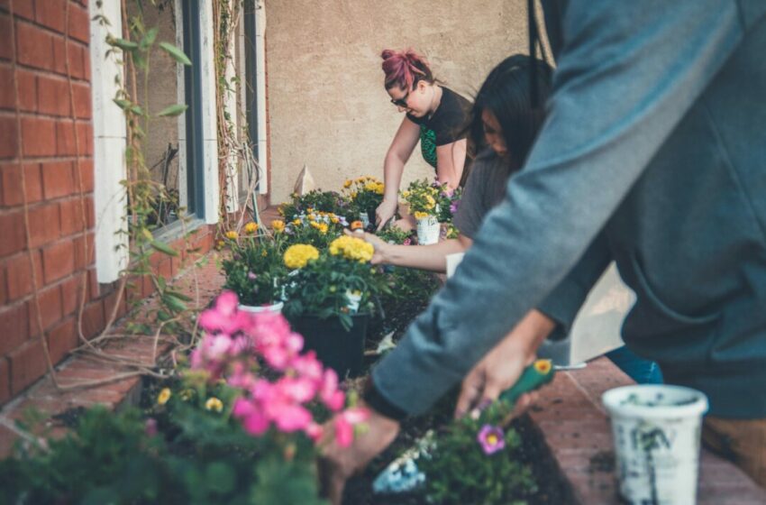  Aktivitas Berkebun, Salah Satu Kontribusi Berarti untuk Lingkungan pada Hari Bumi