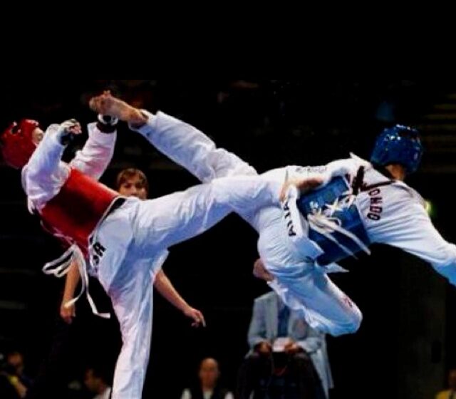  Kejuaraan Taekwondo Dunia, Prestasi dan Perjuangan Para Atlet