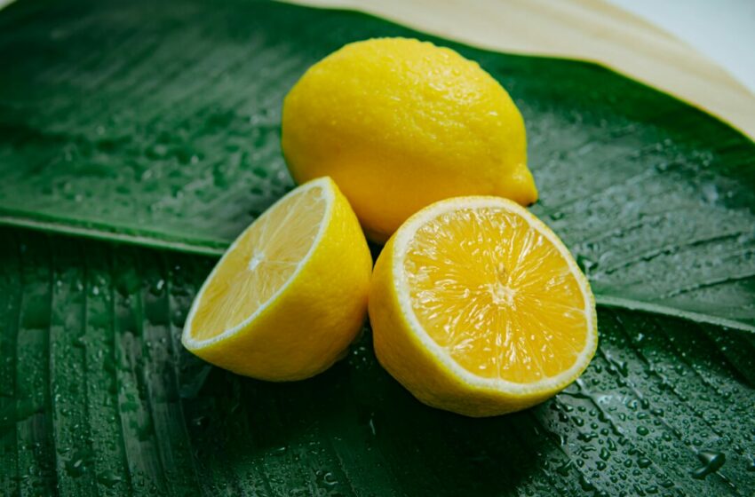  Rahasia Kesehatan Tersembunyi dalam Lemon, Manfaat Ajaib yang Harus Kamu Ketahui