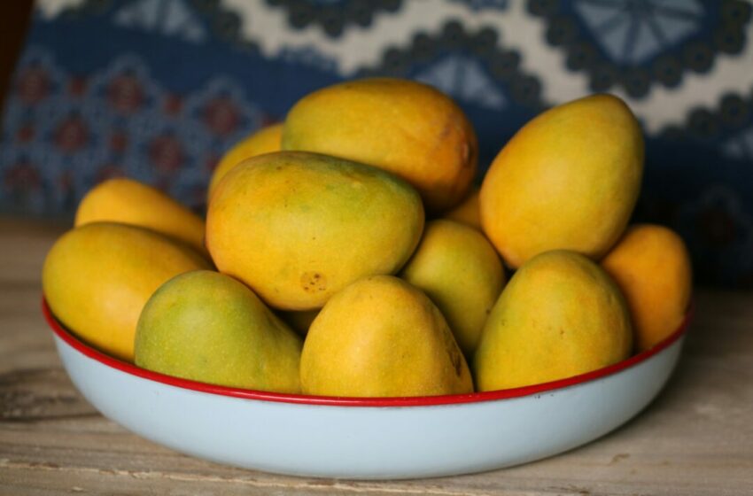  Panduan Memilih Buah Mangga yang Manis dan Matang