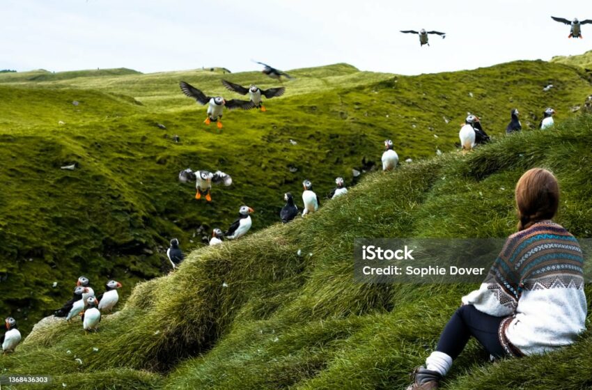  Petualangan di Faroe Islands, Eksplorasi Destinasi Memukau di Perairan Denmark