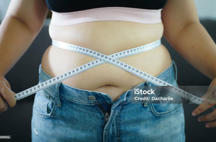  Atur Pola Makan dan Ukuran Porsi Makan untuk Hindari Obesitas