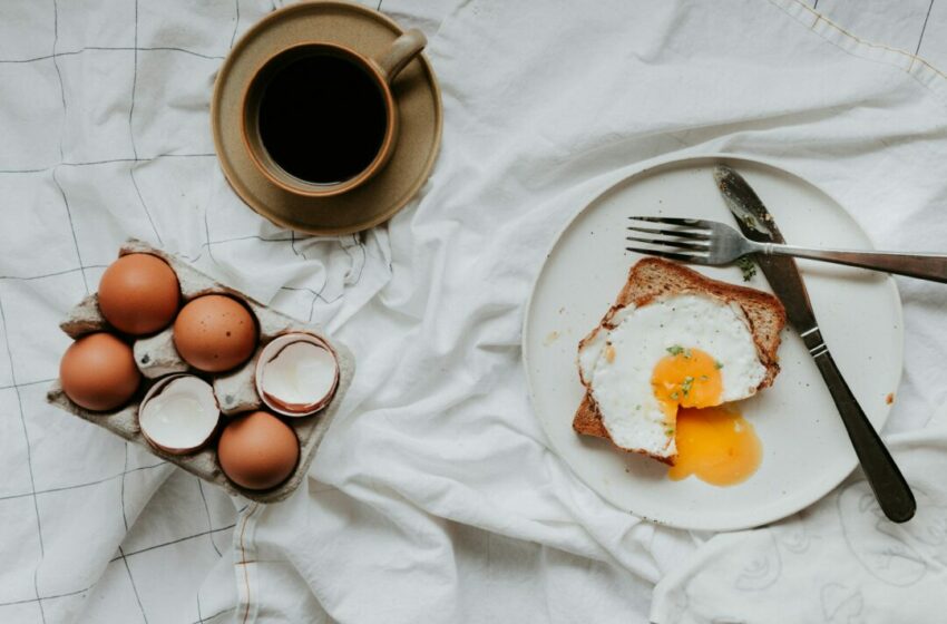  Telur Omega vs Telur Ayam Kampung, Perbandingan Nutrisi dan Manfaat Kesehatan