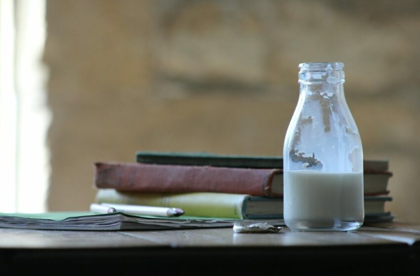  Manfaat Yogurt untuk Kulit, Rahasia Kecantikan yang Terbukti Secara Ilmiah