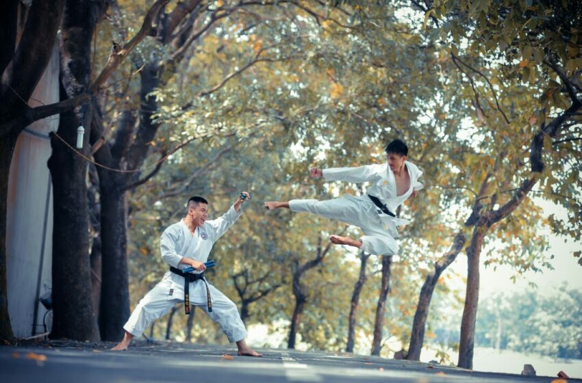  Mengenal Cabang Ilmu Bela Diri Karate, Ini Sejarah, Teknik, dan Manfaatnya