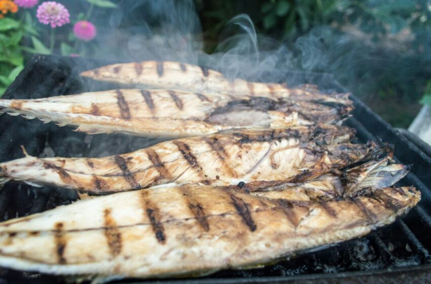  Kandungan Nutrisi dalam Ikan Tongkol yang Bikin Kamu Perlu Makan Ikan Ini