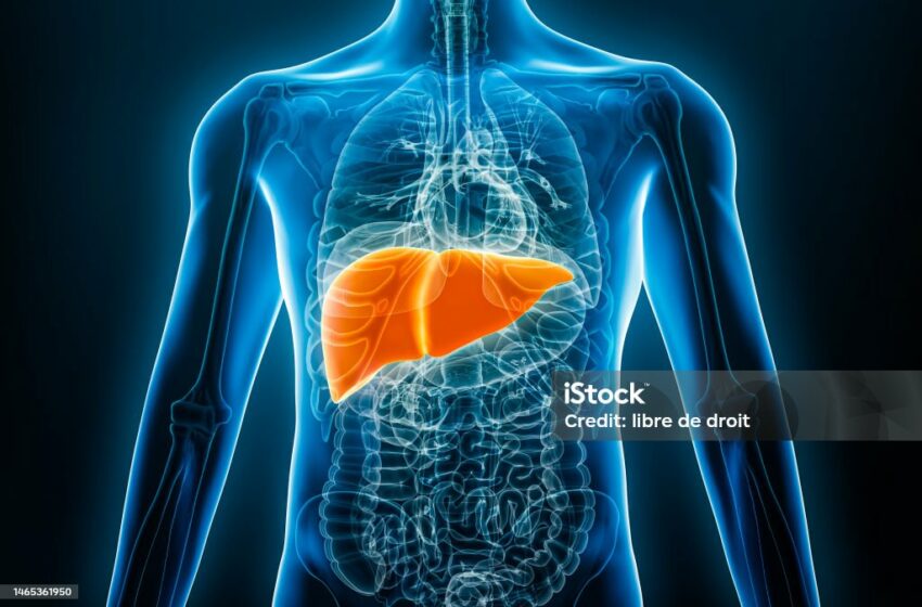  Menyelami Lebih Dalam tentang Penyakit Hepatitis, Jenis, Gejala, dan Pencegahan