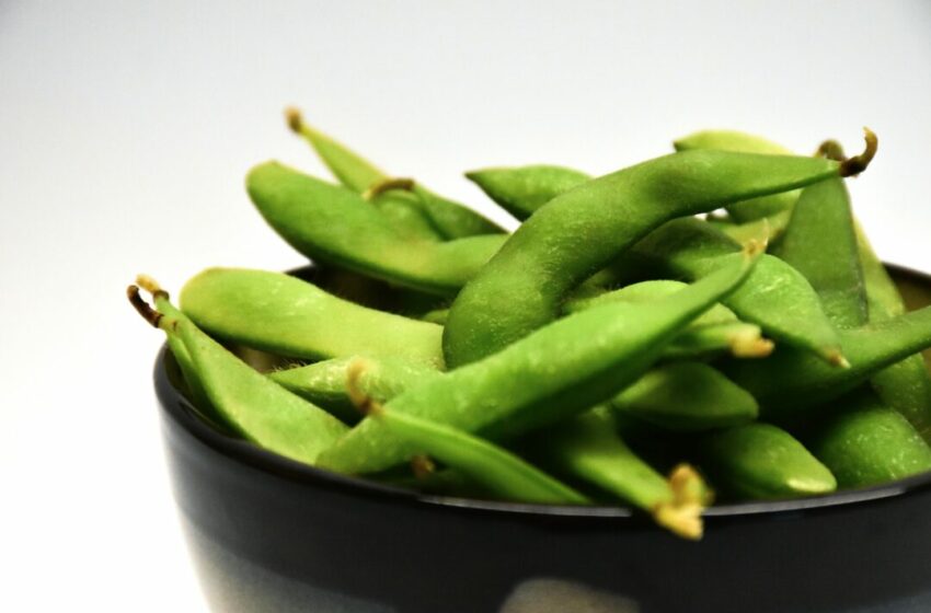  Mengenal Berbagai Jenis Kacang Kedelai, Sumber Protein Nabati yang Kaya Manfaat