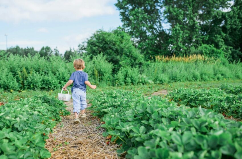  Tips Mengajak Anak untuk Berkebun, Menumbuhkan Cinta pada Alam
