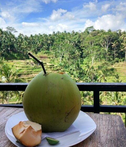  Nikmatnya Aneka Olahan Kelapa Muda yang Segar dan Bergizi