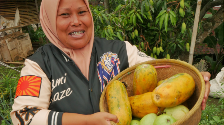  Manfaat Budidaya Pepaya, Peningkatan Pendapatan dan Keberlanjutan Pertanian