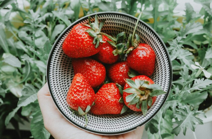  Kandungan Buah Stroberi yang Baik untuk Tubuh Kamu