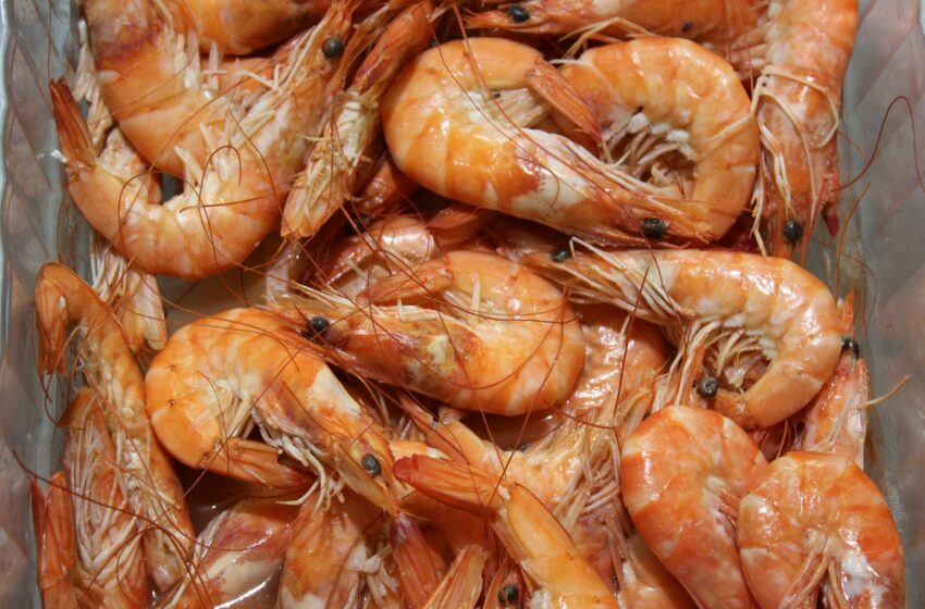  Langkah demi Langkah, Cara Membersihkan Udang dengan Efektif