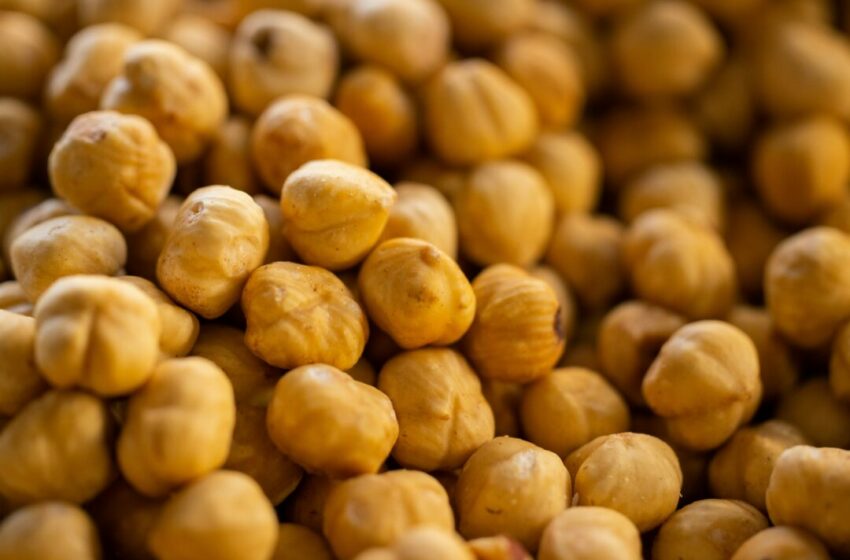  Ini adalah Cara Terbaik Menikmati Kacang Hazelnut, Dijamin Kamu Pasti Suka