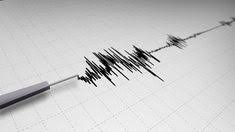  Gempa Bumi Magnitudo 4,5 Guncang Malang, Dampak Minimal