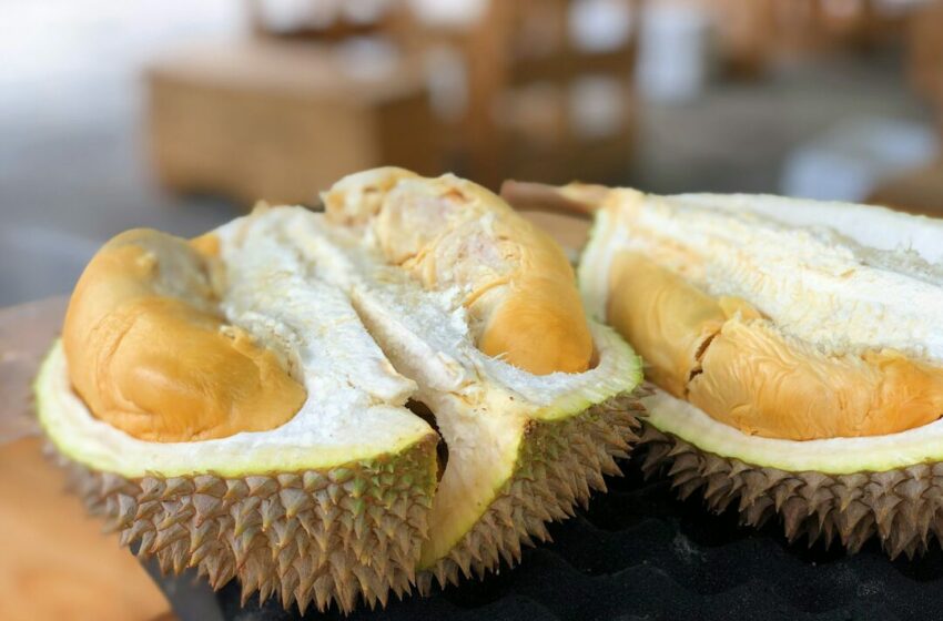  Mitos dan Fakta Mengonsumsi Durian Terlalu Banyak