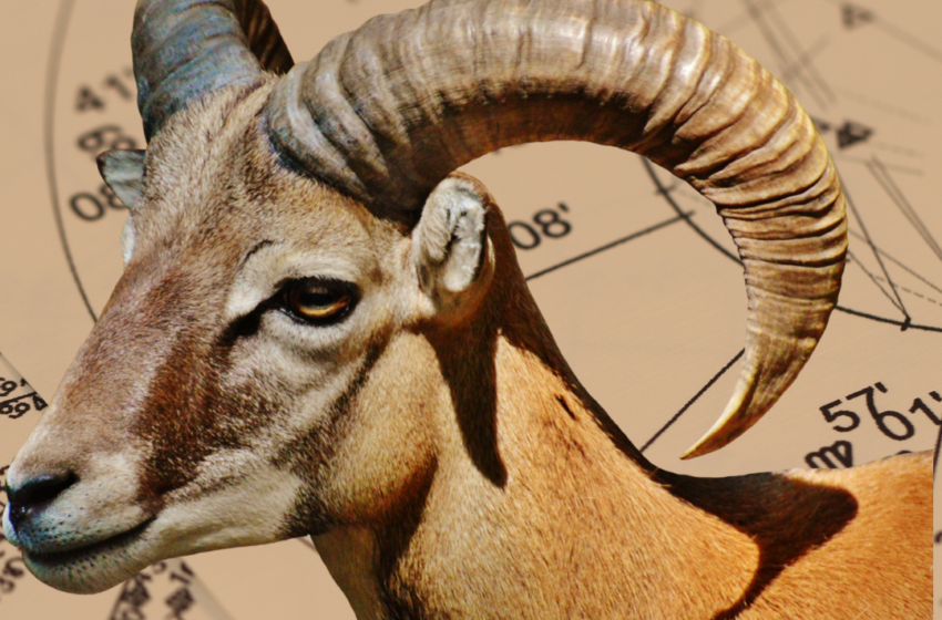  Perubahan Besar yang Akan Dialami Zodiak Aries pada Tahun 2024