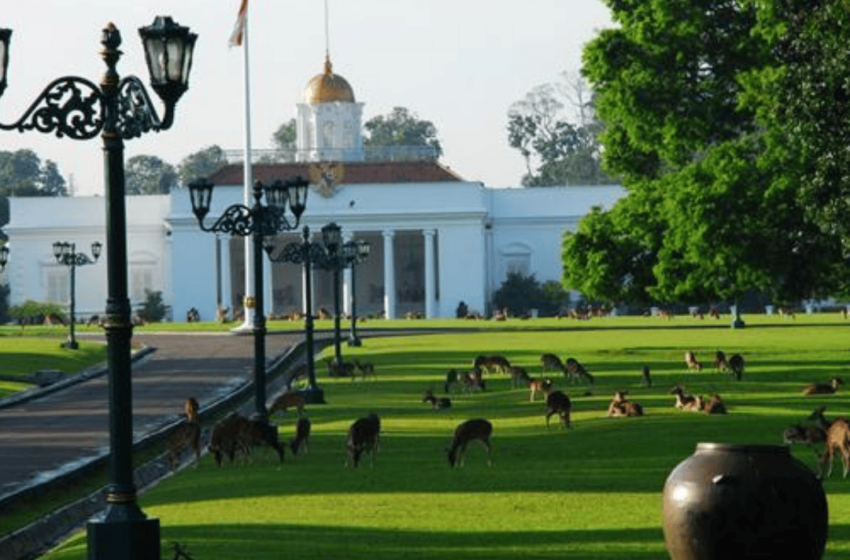  Ide Liburan Akhir Pekan di Kebun Raya Bogor