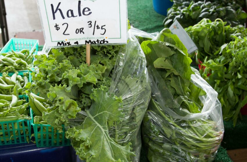  Kale, Si Hijau Super yang Lagi Hits di Kalangan Gen Z dan Milenial