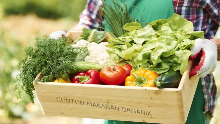  Makanan Organik: Gaya Hidup Mewah atau Kesehatan?