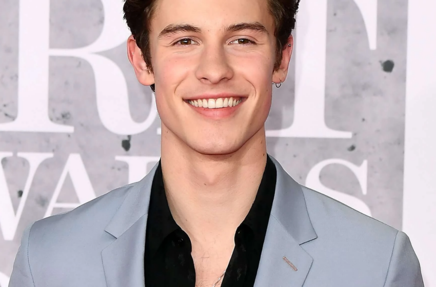  Shawn Mendes Sekali Lagi Menanggapi Spekulasi Tentang Seksualitasnya