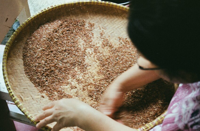  Ini Kandungan Beras Merah yang Dinilai Lebih Baik dari Beras Putih