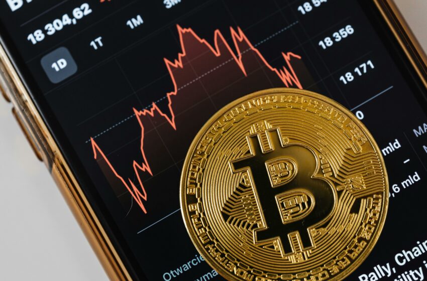  Mau Belajar Soal Bitcoin dan Crypto? Ini Dia Situs-Situs Andalan para Crypto Enthusiast