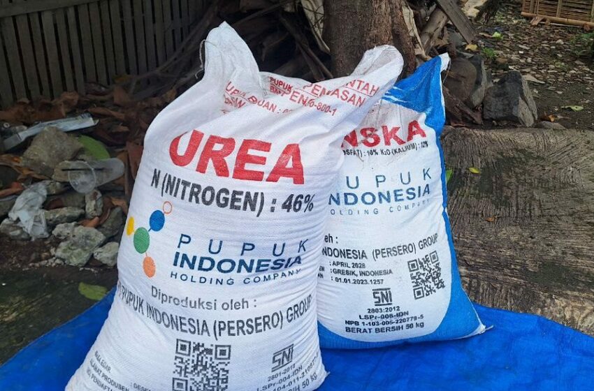  Pupuk Subsidi Langsung ke Petani, Efektifkah?