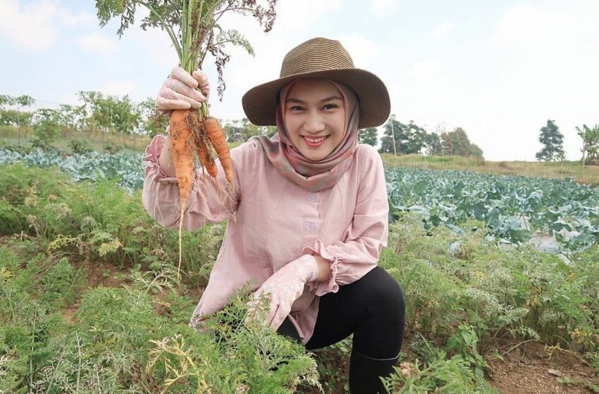  Melody Eks JKT48 Diusulkan Jadi Duta Petani Milenial