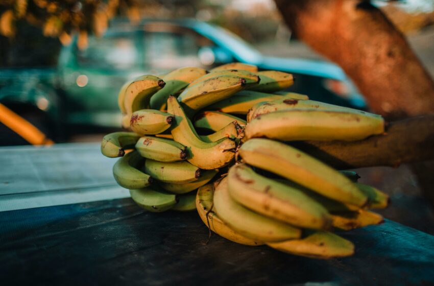  Ini Dia Ragam dan Jenis-Jenis Pisang di Indonesia