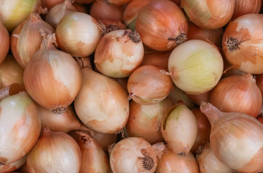  Mitos atau Fakta: Bawang Bombay Dapat Digunakan untuk Mengempukkan Daging?