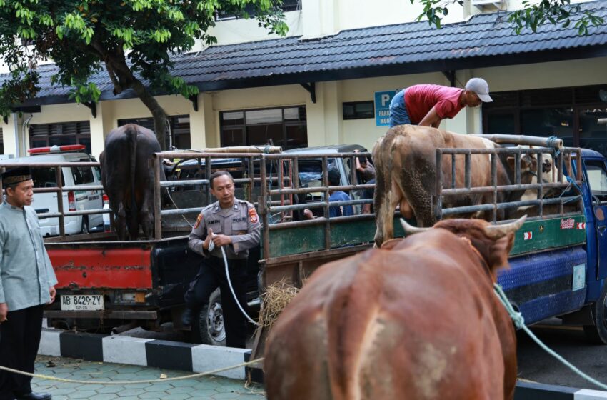  Polda DIY Salurkan 41 Ekor Hewan Kurban untuk Masyarakat