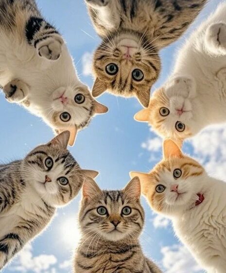  Jepang Rayakan “Neko no Hi”: Fenomena ‘Nekonomics’ yang Tembus 3 Triliun Yen