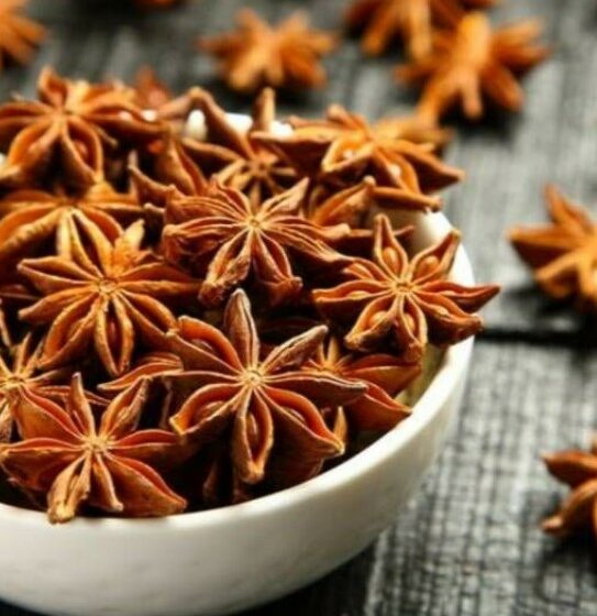  Teh Bunga Lawang, Si “Secret Weapon” Penambah Imun