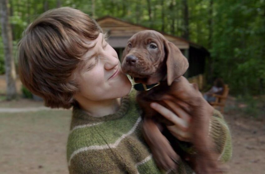  Netflix Hadirkan Scooby-Doo Versi Anjing Nyata di Serial Terbaru